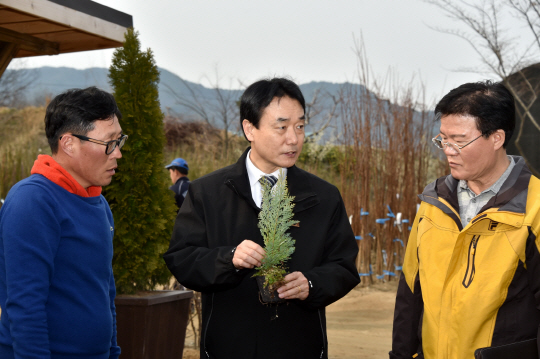 김용하(사진 왼쪽에서 두번째) 산림청 차장이 옥천묘목유통센터를 찾아 일반에 판매될 묘목 상태 등을 점검하고 있다. 사진제공=산림청