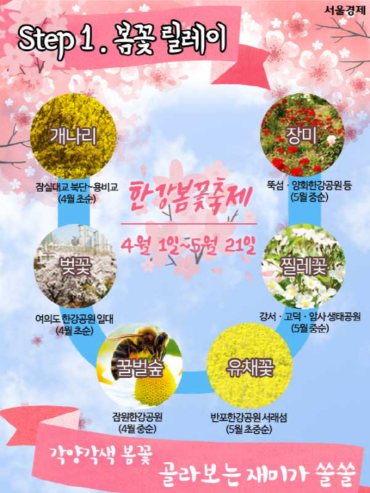 [카드뉴스]'봄바람 휘날리며' 2017 한강봄꽃축제 완벽 정복