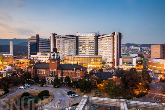 서울대병원 161명, 故 백남기 의료기록 725차례 무단열람
