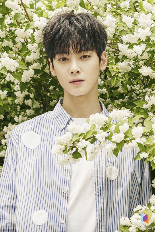 '아스트로' 차은우, 유호진·차태현 연출작 '최고의 한방' 캐스팅 확정