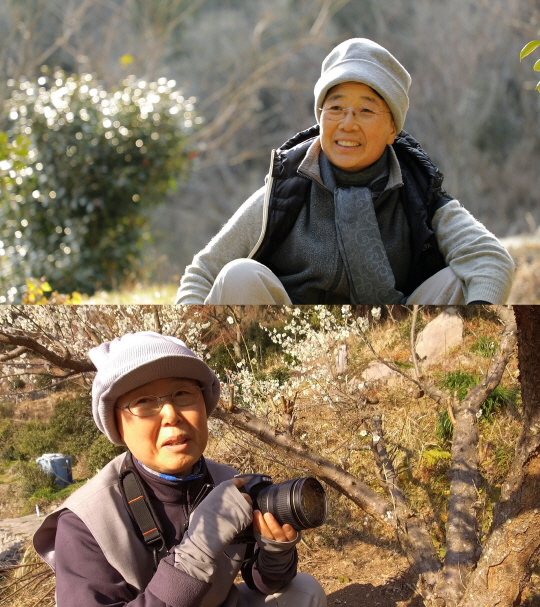 ‘한국기행’ 청산도 백련암 지키는 두 자매 스님 이야기…‘나물 전쟁’ 5부