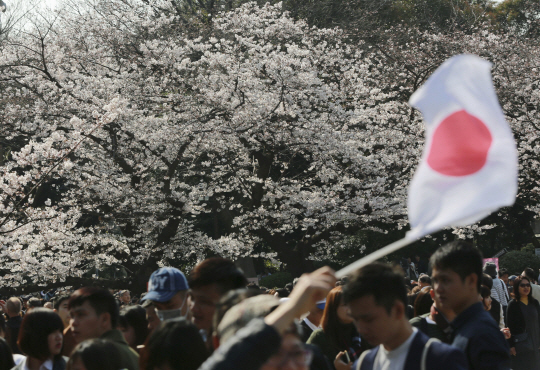 벚꽃이 만개한 일본 도쿄 한 공원에서 방문객이 일장기를 흔들고 있다./도쿄=AP연합뉴스