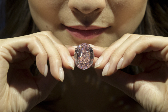 4일(현지시간) 홍콩 소더비 경매에서 세계에서 가장 큰 핑크 다이아몬드로 크기가 59.60캐럿에 달하는 ‘핑크스타’가 귀금속 업체 ‘주대복’에 7,120만달러(약 800억원)에 팔리며 역대 경매 최고가를 경신했다. 지난달 29일 홍콩 소더비 사전 공개행사에서 모델이 핑크스타를 들고 있다.          /홍콩=EPA연합뉴스