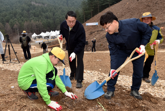 산림청 개청 50주년 식목일…양평서 나무심어