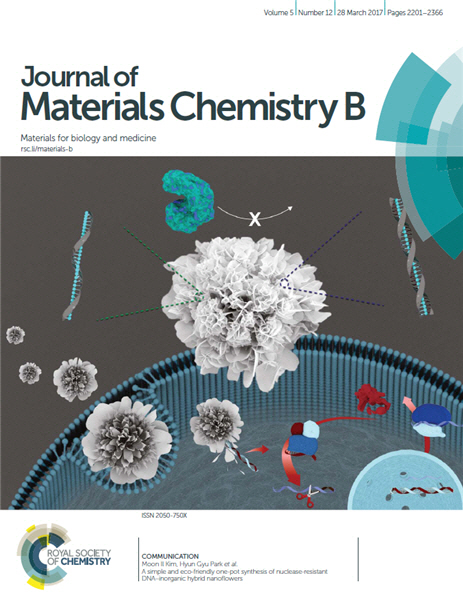DNA 나노꽂이 영국왕립화학회에서 발간하는 국제학술지인 저널 오브 머티리얼즈 케미스트리B 최신호에 표지논문으로 실렸다. /시진제공=KAIST