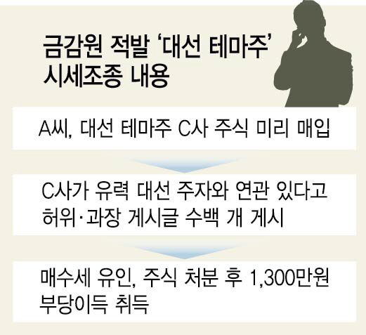 1315A22 금감원적발