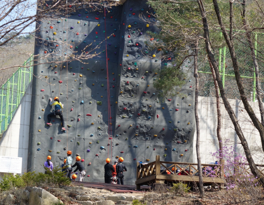 채드윅 송도국제학교 학생들이 지난해 용화산 국립자연휴양림에서 인공암벽 오르기 체험을 하고 있다. /사진제공=국립자연휴양림관리소