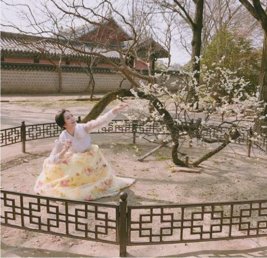 예정화, 인증샷 위해 울타리 넘어 100년 된 매화와 ‘찰칵’