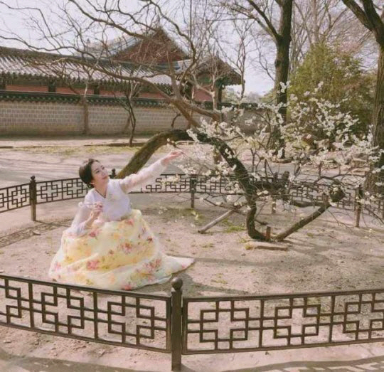 예정화 매화 논란에 문화재청 “초등학생도 아는 비도덕적 행위” 법적 절차 검토 중