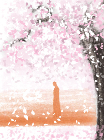[시로 여는 수요일] 벚나무는 건달같이