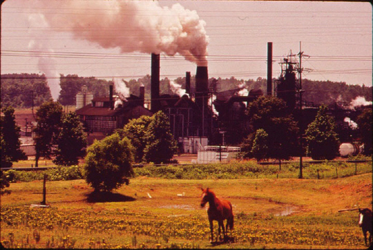 1972년 6월, 방목지 바로 앞에 세워진 아틀라스 화학산업사의 공장이 연기를 뿜어내고 있다.