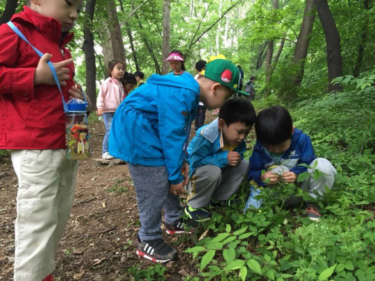 서울 서초구 문화예술공원내 유아숲 체험장에서 아이들이 풀꽃을 관찰하고 있다. /사진제공=서울시