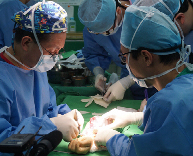 대구 W병원과 영남대병원 의료진이 지난 2월 기증자의 팔 이식수술을 준비하고 있다. /사진제공=W병원