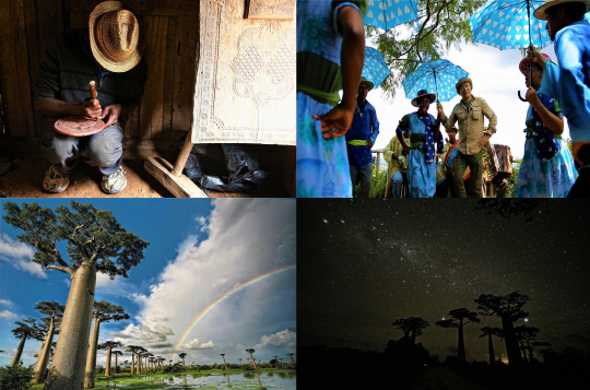 ‘세계테마기행’ 마다가스카르  1부…‘바오바브의 땅, 은하수를 품다’