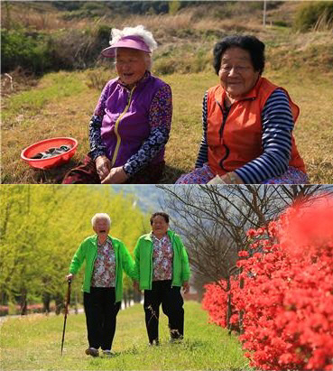 ‘한국기행’ 경남 의령 85년 단짝 할머니, 봄날 고사리·쑥 캐는 날