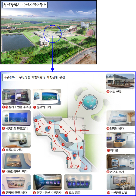 체험학습장 현황도./제공=부산시 수산자원연구소