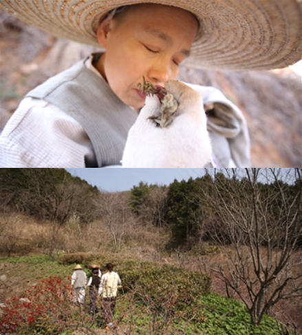 ‘한국기행’ 순천 모후산 산공스님의 봄 산책길…‘바람이 거들고 자연이 키우고’