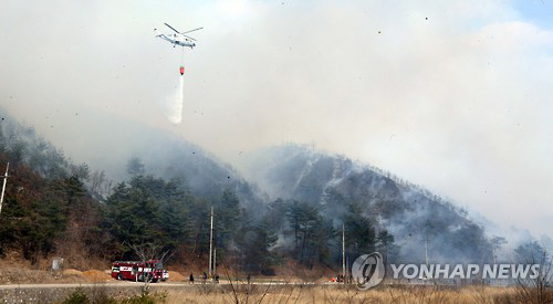 산림 당국은 강릉과 삼척의 산불 진화 작업이 막바지에 달해 9일 오전 중 진화 작업이 완료될 것으로 전망했다./연합뉴스