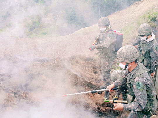 육군 제23사단 장병들이 9일 강원 삼척시 산불현장에서 막바지 진화작업을 하고 있다. /연합뉴스