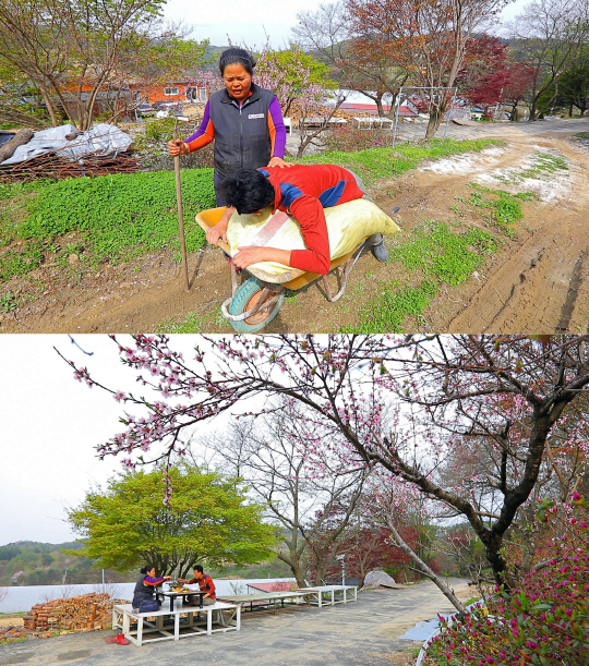 ‘한국기행’ 척추협착증 아내 위한 ‘왕의 보양식’ 백봉오골계…‘사랑의 묘약’