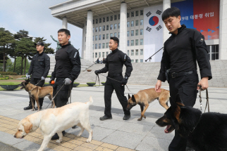 10일 오전 문재인 대통령 취임선서식이 열리는 국회의사당 주변에 경찰 탐지견들이 배치돼 주변을 수색하고 있다./연합뉴스