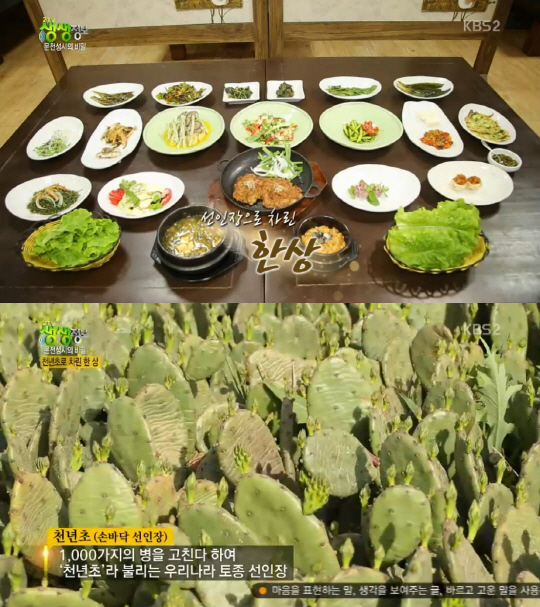 ‘생생정보’ 천년초 한상차림 맛집, 비결은?…공주 ‘밥꽃하나 피었네’