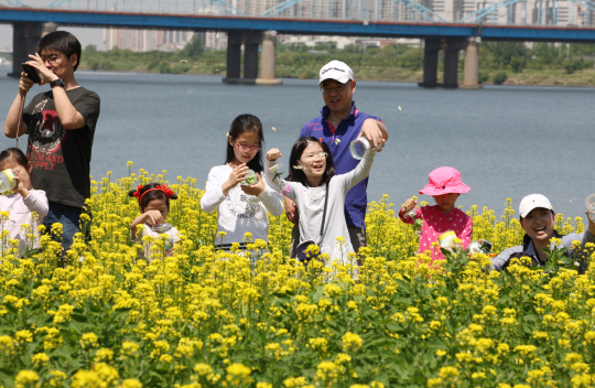 반포한강공원 서래섬을 찾은 시민들이 유채꽃밭을 즐기고 있다. /사진제공=서울시
