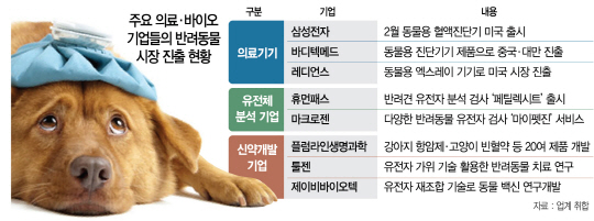 유전병 예측까지…뜨거운 '펫케어'시장