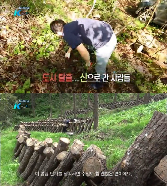 ‘취재파일K’ 산촌서 시작하는 인생2막…‘우린 산촌으로 간다’