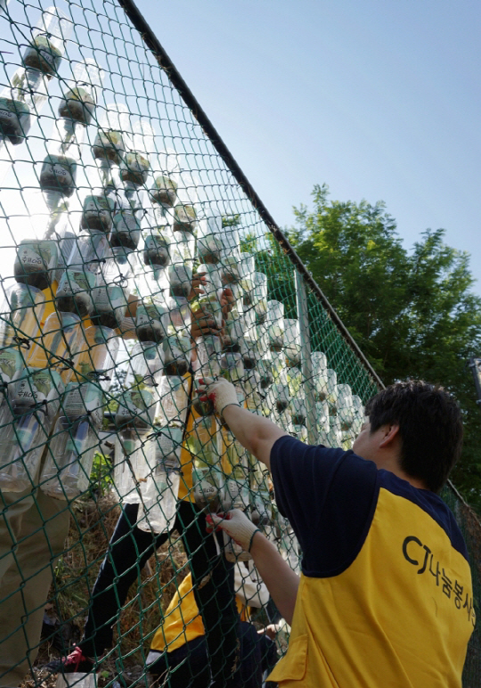 지난 19일 서울 마장동 벽화마을에서 CJ헬스케어 임직원들이 ‘헛개수’ 페트병으로 만든 쌈 채소 화분을 울타리에 걸고 있다. /사진제공=CJ헬스케어