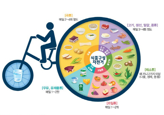 <식품구성자전거>  보건복지부, 2015 한국인 영양소 섭취기준