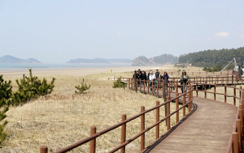 관광객들이 아름다운 풍경의 태안 노을길을 걷고 있다.
