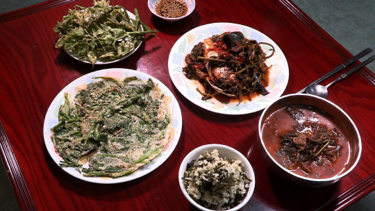 ‘한국인의 밥상’ 최불암, 일월산 밥상 소개…산나물·흑염소·토종꿀