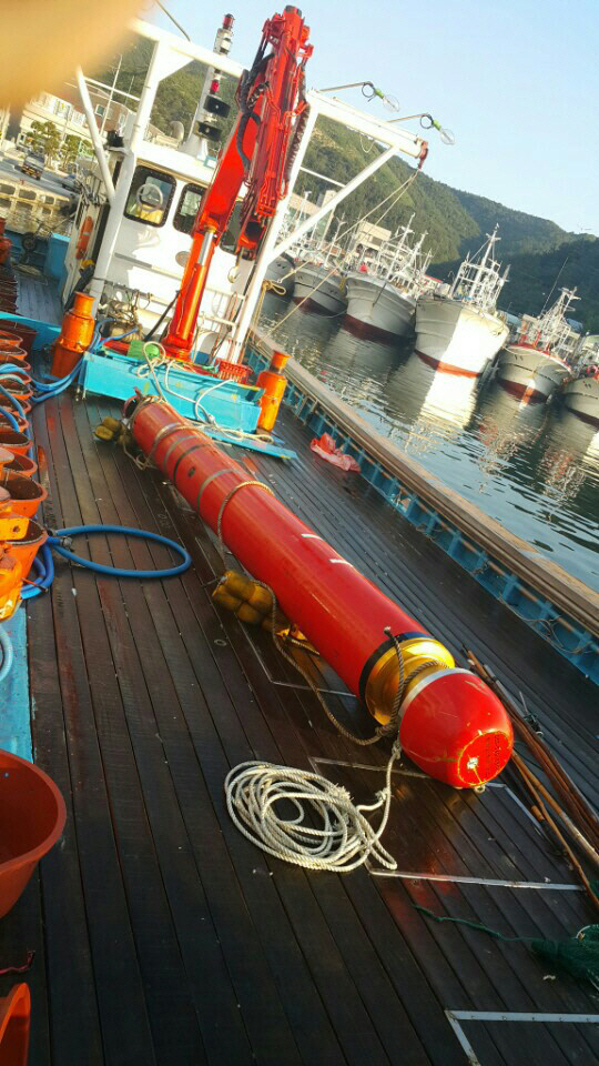 경북 영덕 앞바다서 1.5t 대형어뢰 발견…연습용 어뢰로 밝혀져