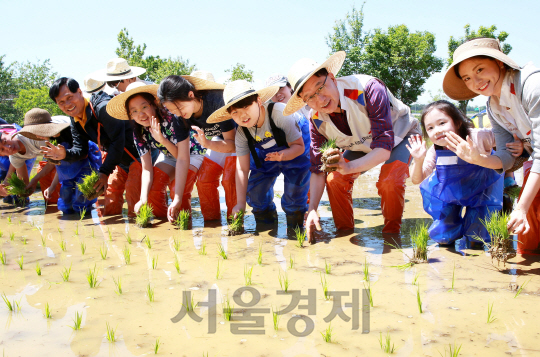 오근녕(오른쪽 세번째) 아시아나항공 경영관리본부장이 27일 ‘1사1촌’ 봉사활동에 참가한 임직원 및 가족들과 함께 모내기를 하고 있다./사진제공=아시아나항공