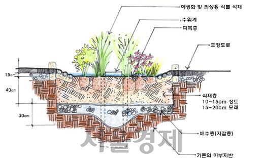 빗물정원구조