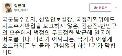 김진애 전 민주통합당 의원, “한민구-김관진 모습에서 무표정한 박근혜 얼굴 떠올라” 직설적 비난