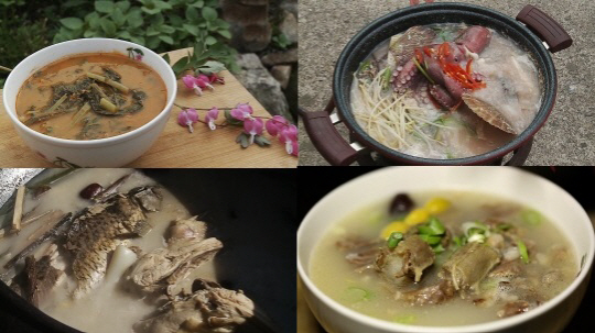 ‘한국인의 밥상’ 여름 보양식 소개…추어탕·돌장어탕·메기매운탕·꼬리곰탕