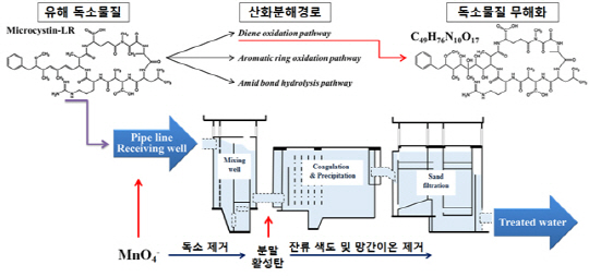 과망간산염 산화제를 적용해서 정수장 유입 녹조 및 독소 물질을 제거할수 있다./사진제공=KIST