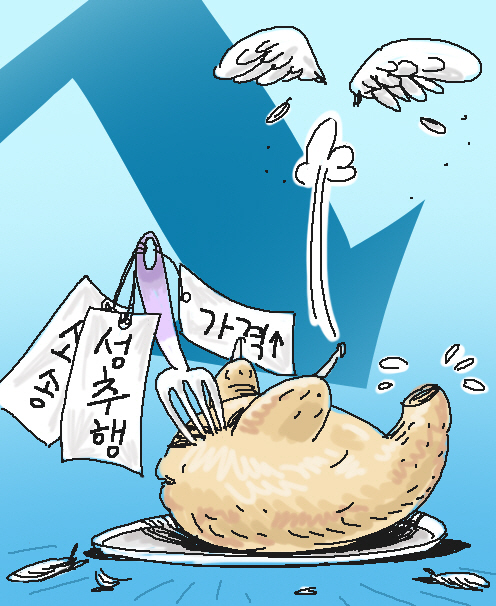 치킨 프랜차이즈 '날개 없는 추락'