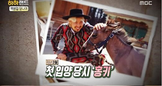 ‘하하랜드’, 방송인 노홍철의 MBC 복귀작...시청률 반응은?