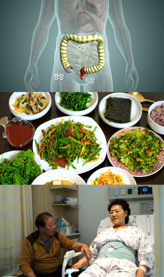 ‘생로병사의 비밀’ 음식으로 장 다스리는 대장암 극복의 비결은?
