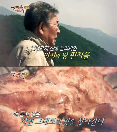 ‘한국인의 밥상’ 최불암, DMZ펀치볼 밥상 소개…흑돼지·메싹·키다리나물