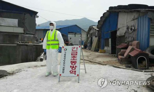 조류인플루엔자(AI) 의심 신고 농가 일대 긴급 초동방역 작업/연합뉴스