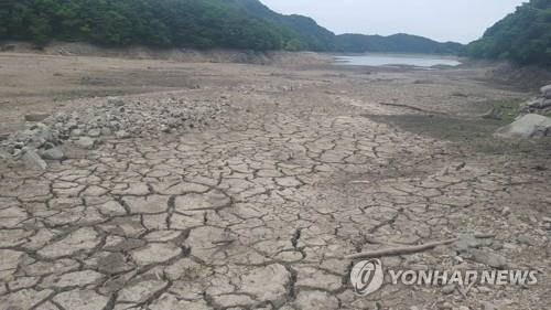 가뭄으로 갈라진 포항 오어지 바닥/연합뉴스