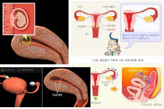 그림: 보건복지부·대한의학회