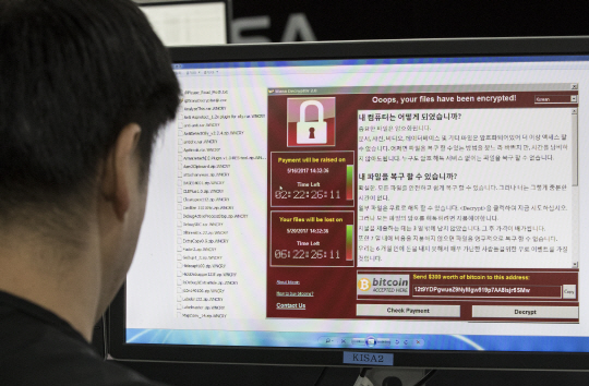 미 정보당국은 2009년 이후 전 세계 국가들의 해킹사건의 배후를 북한 정부 산하의 해킹집단인 ‘히든 코브라(Hidden Cobra)로 지목했다./연합뉴스