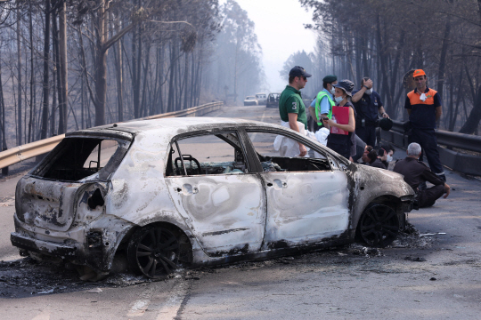 포르투갈 산불 사망자 '최소 62명'