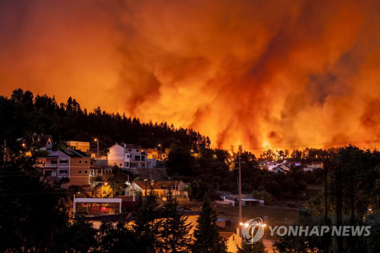 포르투갈서 대형 산불로 최소 62명 사망…‘마른 뇌우’ 원인 추정