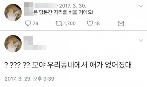 인천 초등생 살인범의 엽기적 트위터 “우리 동네 애가 없어졌대”